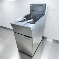 Friteuse à gaz GPL sur pied 30L en acier inoxydable à performance stable, cuve unique avec deux paniers pour la préparation d'aliments frits