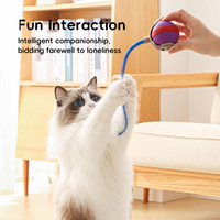 Nouvelle Arrivée - Balle de Chasse Intelligente pour Chat, en ABS Résistant à l'Usure, Alimentée au Lithium, Jouet Stimulant pour Chatons, Idéal pour l'Auto-entretenissement à Domicile