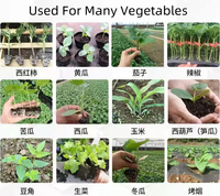Semoir Agricole Semences Légumes Machines Chou Carotte Oignon Ail Transplanteurs Semis Planteur Usage Domestique
