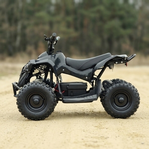 <span class=keywords><strong>Quad</strong></span> électrique miniature pour enfants <span class=keywords><strong>1000W</strong></span> 36V 48V, transmission par chaîne, 3 vitesses, tout-terrain, modèle R-EA001X - Product Image 2