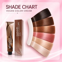 JiaYing OEM Private Label PPD Free Ammonia-Free Permanent Cream Hair Dye Mild Vegan Covers Gray Hair Long Lasting 52 Colors