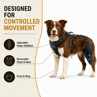 Attelle de genou pour chien FD606 avec stabilisateur à charnière réglable en néoprène et maille de nylon pour l'arthrite canine, les entorses et la récupération postopératoire