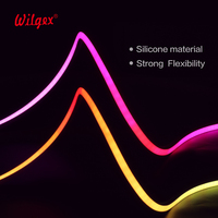 Projet de fontaine de piscine étanche à l'eau LED Neon Flex DMX SPI Adressable WS2811 Smart Pixel RGBIC LED 10*10mm