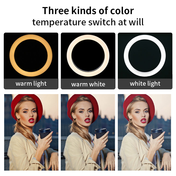 Popular 10 inch LED Circle  Video Studio Lights Multi White Color Selfie Ring Light for Make Up