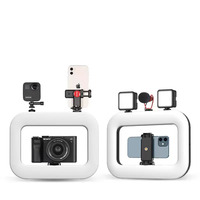 Kit d'éclairage vidéo pour smartphone, lumière LED 2 en 1, anneau lumineux, griffe froide pour microphone, TikTok, YouTube, éclairage pour diffusion en direct, charge inversée