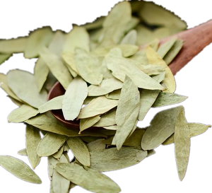 Экстракт листьев сенны, порошок, 10:1 для похудения, порошок, экстракт листьев сенны 20:1 - Product Image 2