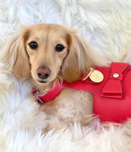 Stylish Handmade Genuine Leather <b>Dog</b> <b>Harness</b> Cute Small <b>Dogs</b>| High End Quality Gifts for <b>Puppy</b> Boys and Girls Pets - Red - Product Image 6