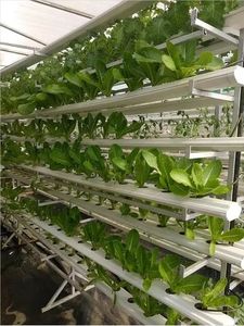 Système hydroponique vertical Canal NFT Agriculture sans sol pour la culture de plantes hydroponiques en serre - Product Image 4