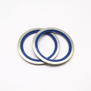 ขนาดมาตรฐานปั๊มไฮดรอลิกยาง NBR + โลหะสีฟ้าผูกมัดซีล - Product Image 1