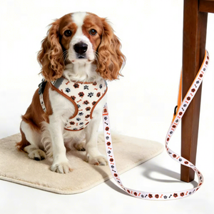 Ensemble de harnais pour chien anti-traction personnalisé, collier rembourré doux, laisse et harnais de qualité supérieure pour chien, distributeur de sacs à déjections canines, accessoires pour animaux de compagnie - Product Image 1