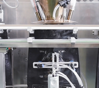 Machine d'emballage Doypack à fermeture éclair entièrement automatique certifiée CE pour le remplissage horizontal de poudre de sel, de café, d'épices
