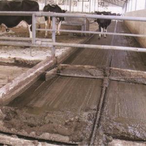 Viehdung reinigungs maschine Edelstahl-Mistabsc haber platte für Tierhaltung geräte - Product Image 4