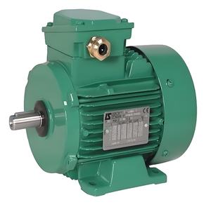 Motor de Inducción Trifásico <span class=keywords><strong>Leroy</strong></span> Somer de 100 HP, 75 KW, 380 V, 50/60 Hz, 1500 rpm, IE2, IE3, IE4, Protección IP55, <span class=keywords><strong>Aislamiento</strong></span> F, PT100 - Product Image 4