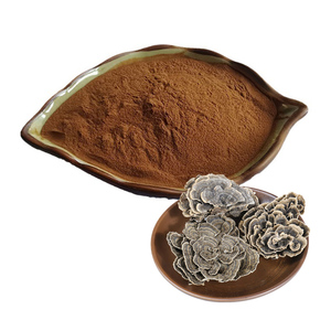 100% 최고 품질의 10:1 다당류 차가 버섯 추출물 분말 - Product Image 3