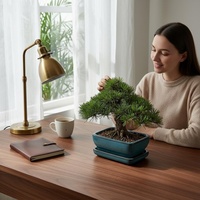 Ventes en gros de pots à bonsaï en céramique Yixing, petits pots en porcelaine à glaçure bleue multi-styles, durables, biodégradables, pour la maison et le jardin