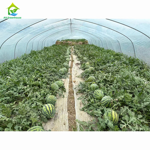 Prix d'usine personnalisé en plastique résistant aux UV hydroponique fraise tomate tente <span class=keywords><strong>de</strong></span> culture serre <span class=keywords><strong>à</strong></span> <span class=keywords><strong>vendre</strong></span> - Product Image 6