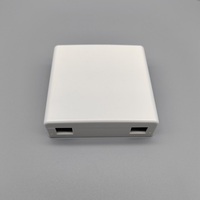 86 Type Fiber Optic Face Plates Wall Box Mini Type Roseta 2ports Nap Box Caja pour FTTH