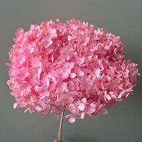 Haute qualité préservée vraies plantes hortensia sec fleurs séchées blanc pour toujours Anna fleur hortensia graines fleurs de mariage