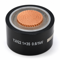Câble blindé en cuivre XLPE à âme unique YJV22 35mm² 50mm² 0,6/1kV, câble d'alimentation souterrain de grande section