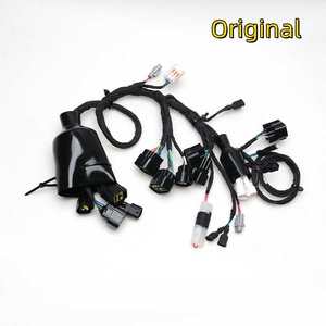 Ban đầu xe đạp điện Sur ron phụ tùng ánh sáng ong Phụ kiện chuyên ngành lắp ráp Cáp chính - Product Image 3