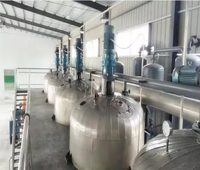 Complete Automatische Grote Palmfruitproductielijn Extractie-En Raffinageapparatuur Voor De Verwerking Van Olijfolie