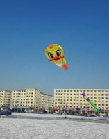 Cerf-volant gonflable de plage chinois Easy Flying Soft Duck 3D Power Sled