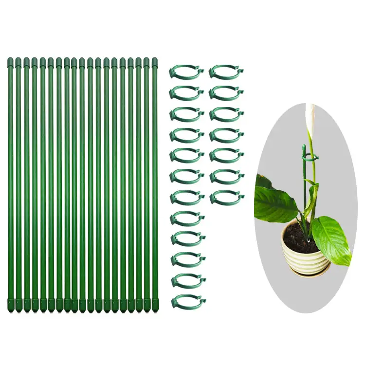 Suporte de estacas para plantas de jardim, fivela simples ajustável de um pólo, suporte anti-estada para plantas, estacas de orquídea com fivela, 19 unidades