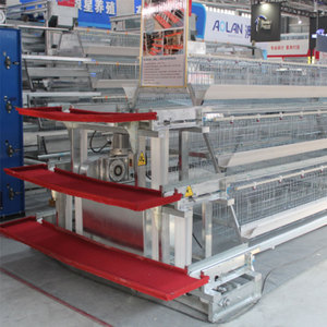 Spécialisation dans les solutions de cages à poules de type A pour les exploitations commerciales de petite et moyenne taille en Afrique - Product Image 1