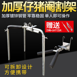 Support de castration pour porcs en acier inoxydable, outil de castration pour porcelets, équipement d'élevage porcin, élevage animal - Product Image 3