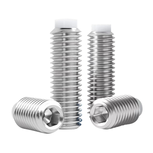 Tornillo de fijación hexagonal de acero inoxidable 304 con punta plana antiarañazos de POM, sistema métrico, precio mayorista del fabricante - Product Image 2
