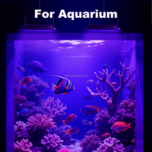 Projecteur LED fluorescent UV 395nm <span class=keywords><strong>50W</strong></span> et 100W pour éclairage paysager et spectacles, disponible depuis l'entrepôt allemand - Product Image 4