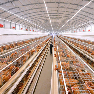 Conception professionnelle de fermes avicoles sur mesure, services complets <span class=keywords><strong>pour</strong></span> fermes de poulets de chair/<span class=keywords><strong>poules</strong></span> <span class=keywords><strong>pondeuses</strong></span>/<span class=keywords><strong>poules</strong></span> reproductrices, excellent rapport qualité-prix - Product Image 2