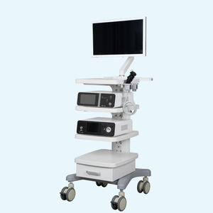 Sistema de Imágenes Endoscópicas Veterinarias HD de <span class=keywords><strong>24</strong></span> Pulgadas para Diagnóstico Animal, Precio de Fábrica para Hospitales Veterinarios - Product Image 1