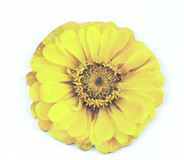 สีเหลือง