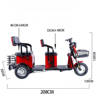 Véhicule électrique à trois roues 72V 1500W neuf, prix compétitif, chargeur intelligent, moteur puissant, scooter pour personnes âgées