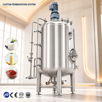 Cuve de Fermentation de Yaourt en Acier Inoxydable 500L 1000L Qualité Alimentaire pour Produits Laitiers