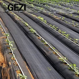 מוצרים שליטת עשב מחצלת חקלאי ארוג פלסטיק בד עבור גננות חקלאות שימוש PE - Product Image 4