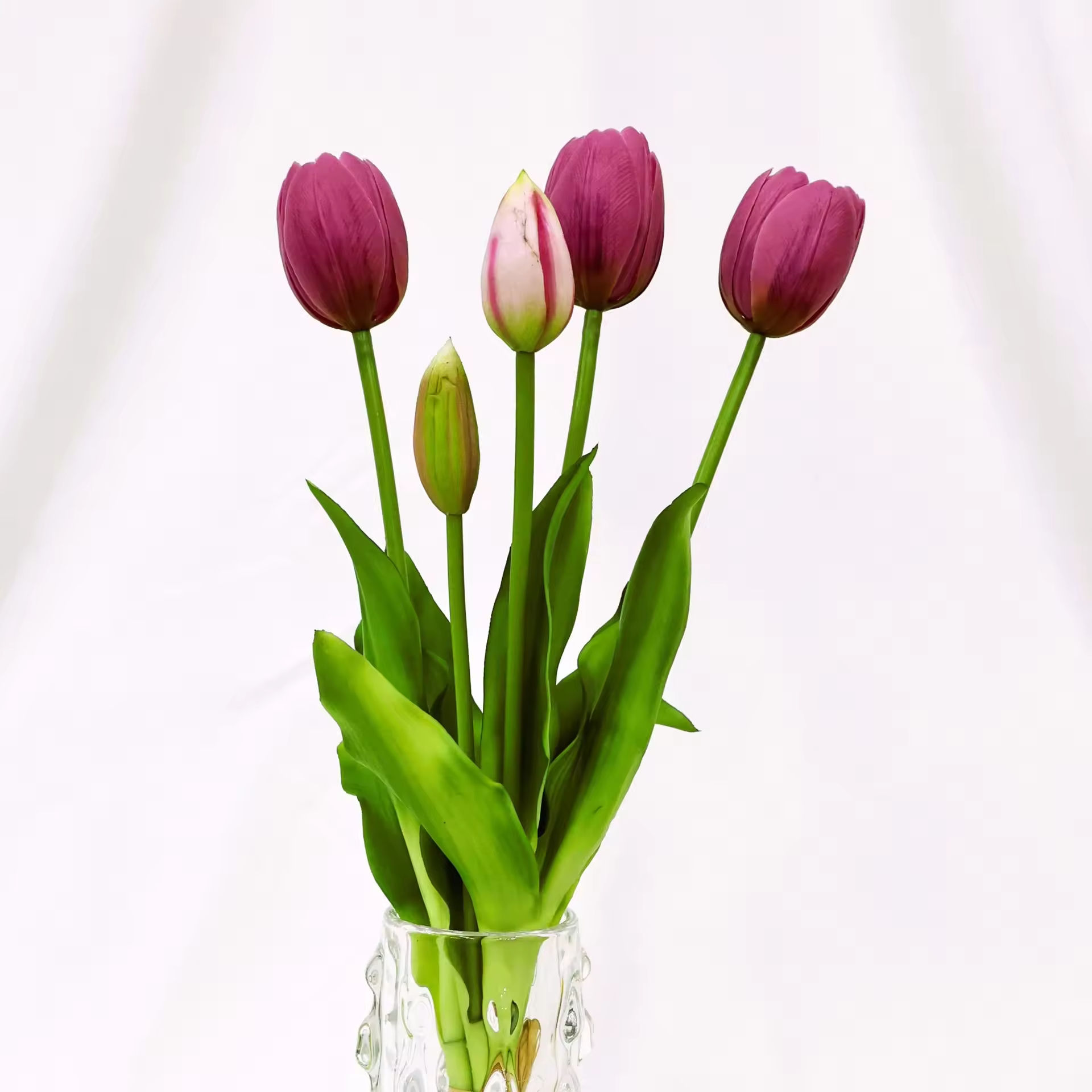 สีม่วงอ่อน