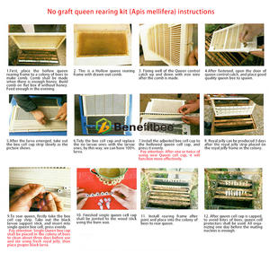 Probitbee-Herramienta <span class=keywords><strong>de</strong></span> apicultor sin injerto, Kit <span class=keywords><strong>de</strong></span> cría <span class=keywords><strong>de</strong></span> Reina, vaso <span class=keywords><strong>de</strong></span> cría, sistema <span class=keywords><strong>de</strong></span> cría <span class=keywords><strong>de</strong></span> abeja <span class=keywords><strong>larva</strong></span> - Product Image 6