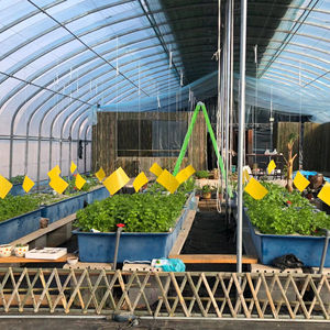 Serre agricole professionnelle à faible coût - Product Image 4