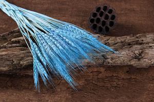 2024 gros Yunnan bricolage fleur séchée <span class=keywords><strong>blé</strong></span> sec décor naturel bouchons d'oreille mariage/magasin centres <span class=keywords><strong>de</strong></span> <span class=keywords><strong>table</strong></span> - Product Image 2