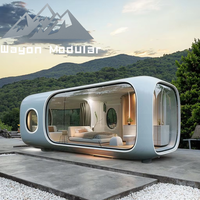 Cabine de jardin préfabriquée Wayon, structure en acier isolée moderne, pour studio de jardin, bord de lac