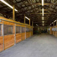 Stalle de cheval enduite de poudre de cage d'animal en bambou portative pour la boîte de cheval facile à déplacer stable de cheval