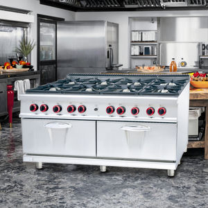 Cocina Industrial de Acero Inoxidable de 8 Quemadores, Doble Combustible (Gas), con Control de Temperatura, Potencia de <span class=keywords><strong>1C</strong></span> 6kW, Fácil de Limpiar, Garantía Completa - Product Image 3