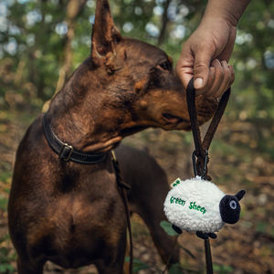 Vente chaude propre marque mouton vert tabouret distributeur de sac facile à transporter avec un rouleau de merde Ba - Product Image 6