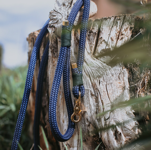 Produits pour animaux de compagnie en nylon <span class=keywords><strong>solide</strong></span>, laisse pour <span class=keywords><strong>chien</strong></span> résistante, <span class=keywords><strong>mousqueton</strong></span> pour l'entraînement, la marche, rubans inspirés de l'escalade en montagne - Product Image 3