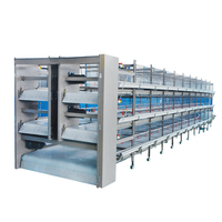Nouvelles cages d'alimentation automatiques pour poulets de chair de la série Bangchi pour l'élevage d'oiseaux