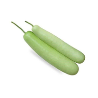 Graine de courge hybride Moon Star de qualité supérieure, pure à 99,99%, 85% de germination, 6% d'humidité, durée de conservation de 2 ans, origine Pakistan, 1% inertes