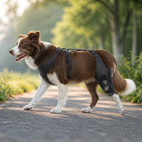 Attelle de genou pour chien FD606 avec stabilisateur à charnière réglable en néoprène et maille de nylon pour l'arthrite canine, les entorses et la récupération postopératoire