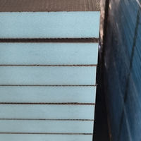 Panneau de mousse XPS pour chauffage au sol, style Wedi, haute compression, imperméable, pour la rénovation des zones humides de la maison, fournitures de construction